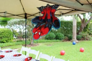 spiderman birthday party ideas